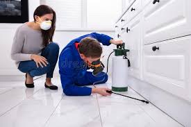 Real Estate Pest Inspections in Wynne, AR